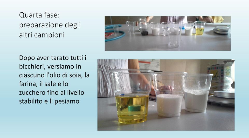 ciascuno l'olio di soia, la farina, il sale e