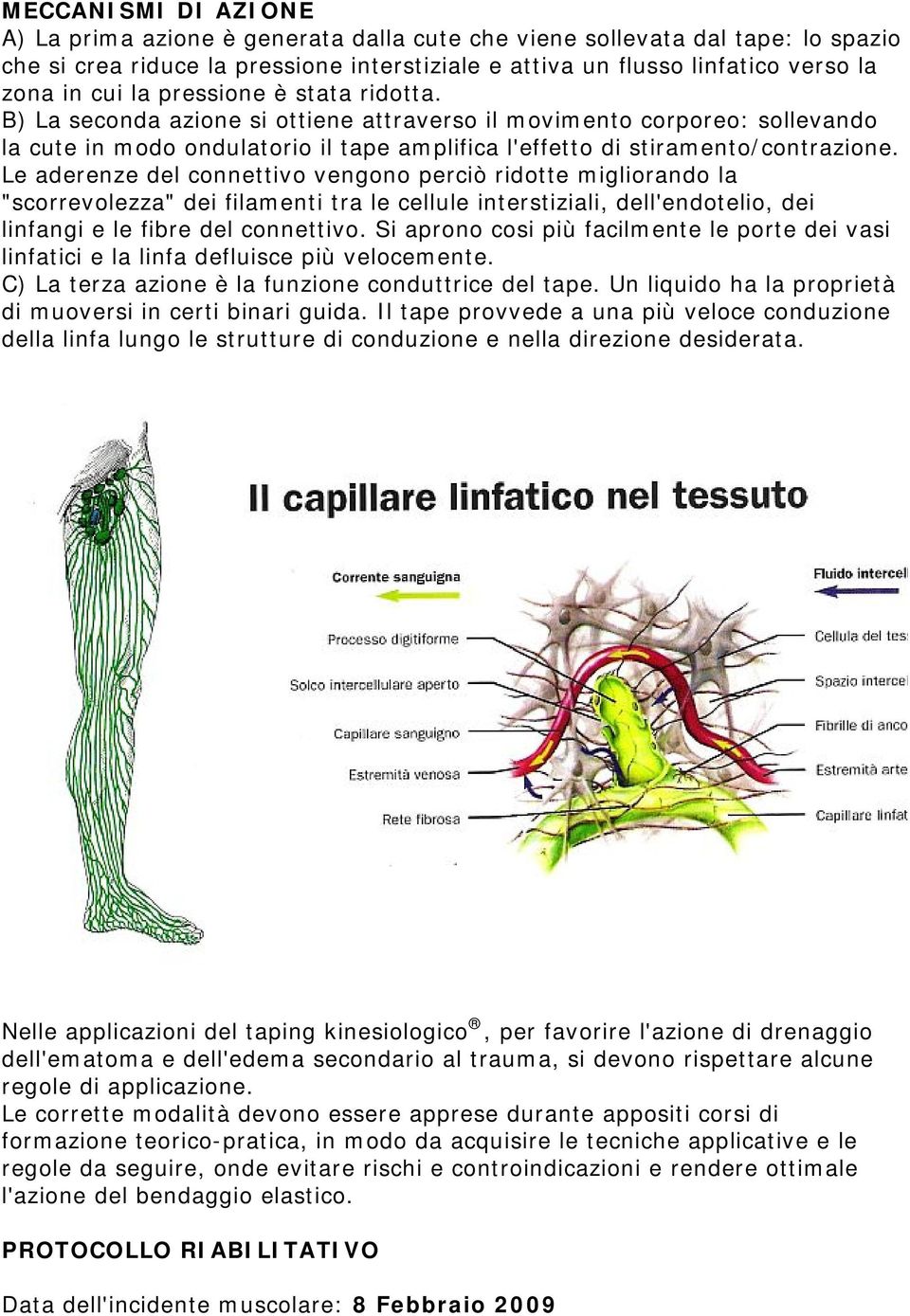 Le aderenze del connettivo vengono perciò ridotte migliorando la "scorrevolezza" dei filamenti tra le cellule interstiziali, dell'endotelio, dei linfangi e le fibre del connettivo.