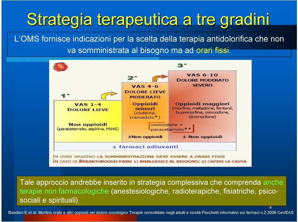 Tale approccio andrebbe inserito in strategia complessiva che comprenda anche terapie non farmacologiche (anestesiologiche,