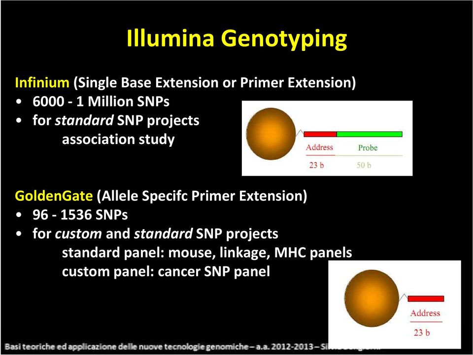 GoldenGate(Allele Specifc Primer Extension) 96-1536 SNPs for custom and