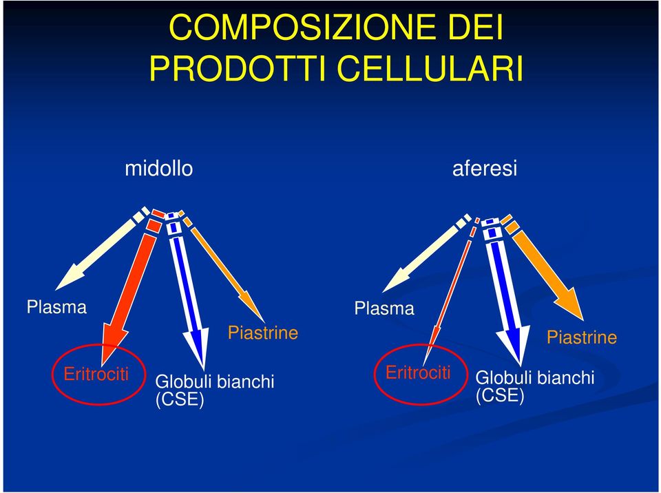 Plasma Piastrine Eritrociti Globuli