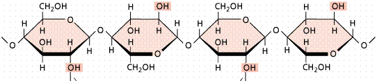 Cellulosa: formata da legami b-1,4 di glucosio Legame