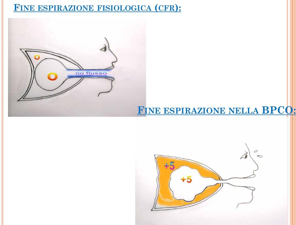 FISIOLOGICA