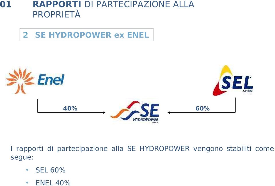 rapporti di partecipazione alla SE