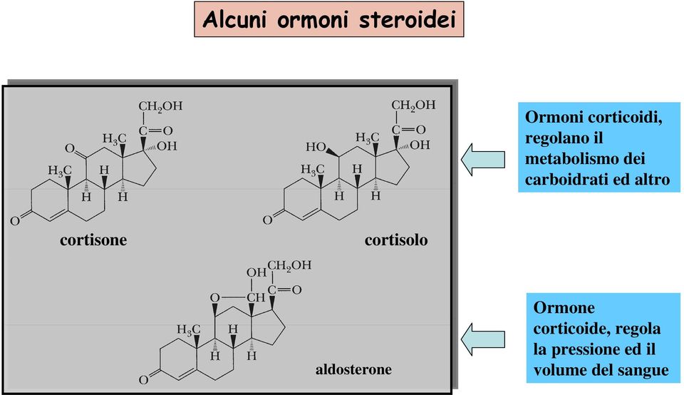 altro cortisone cortisolo aldosterone Ormone