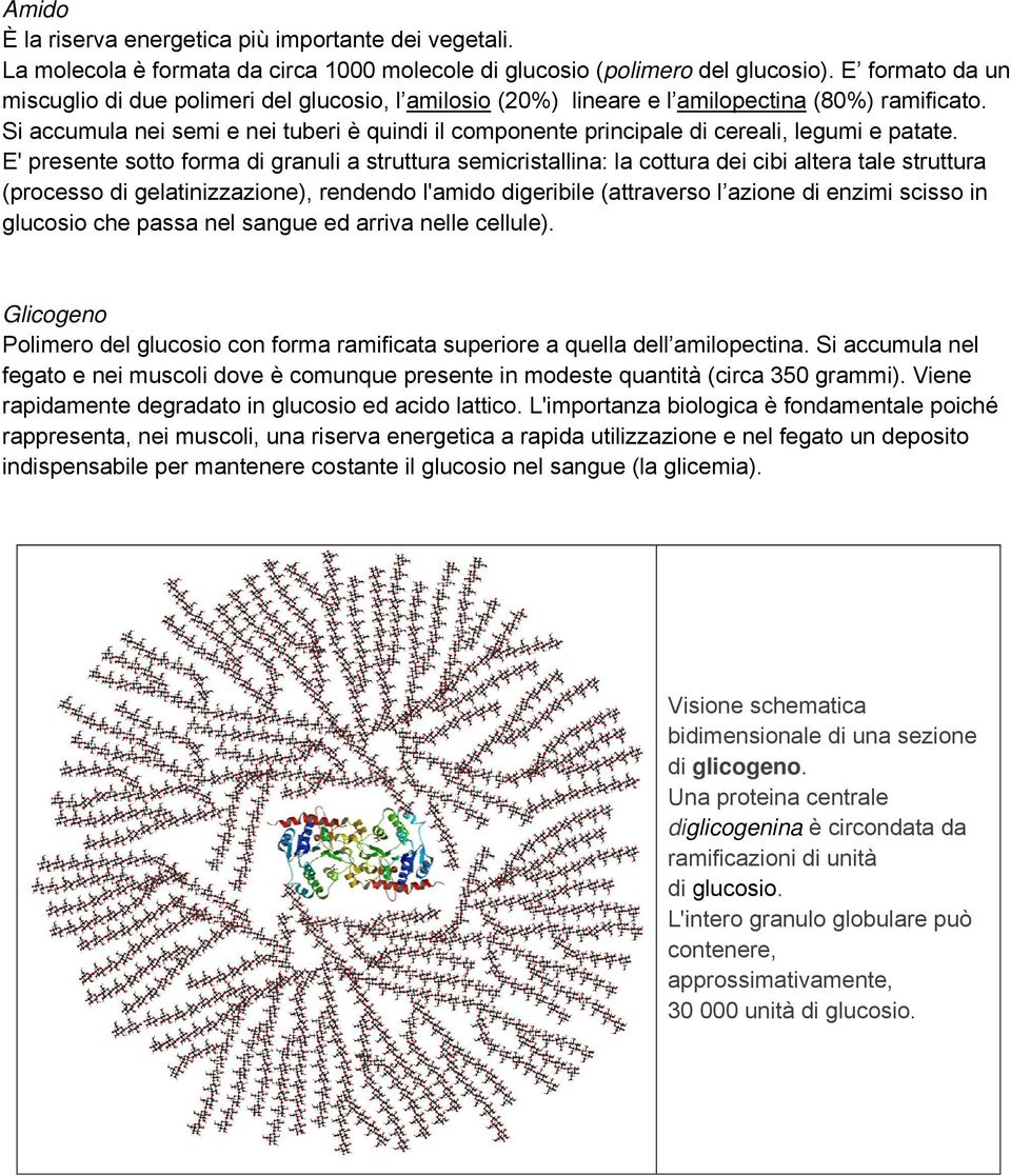 Si accumula nei semi e nei tuberi è quindi il componente principale di cereali, legumi e patate.