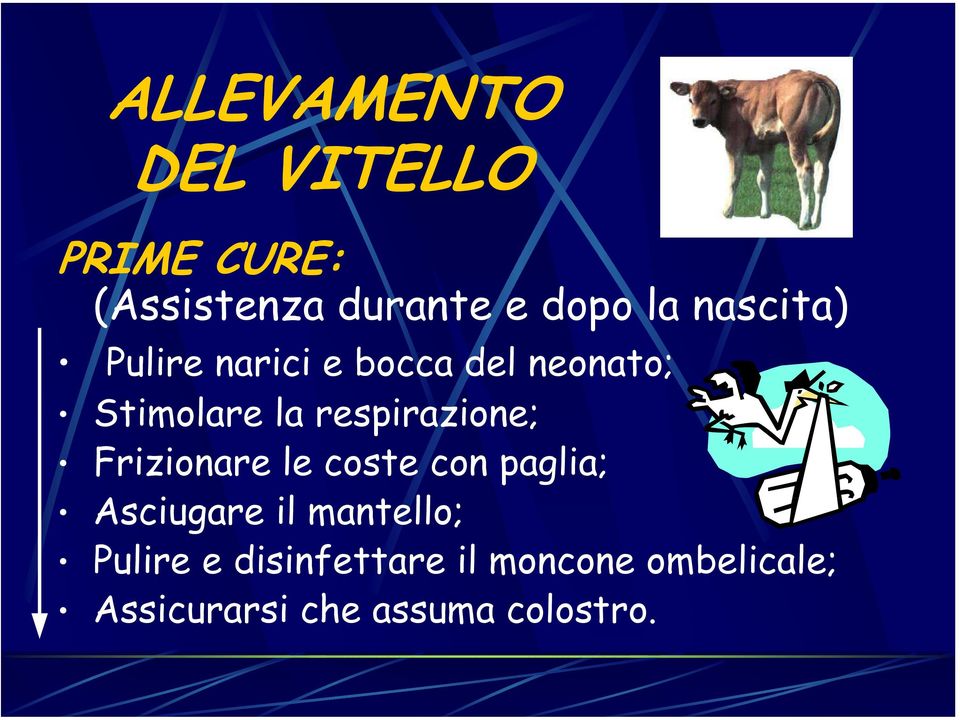 respirazione; Frizionare le coste con paglia; Asciugare il