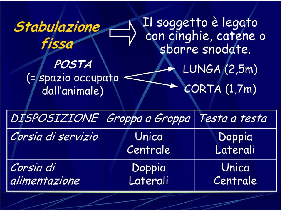 LUNGA (2,5m) CORTA (1,7m) DISPOSIZIONE Corsia di servizio Corsia di