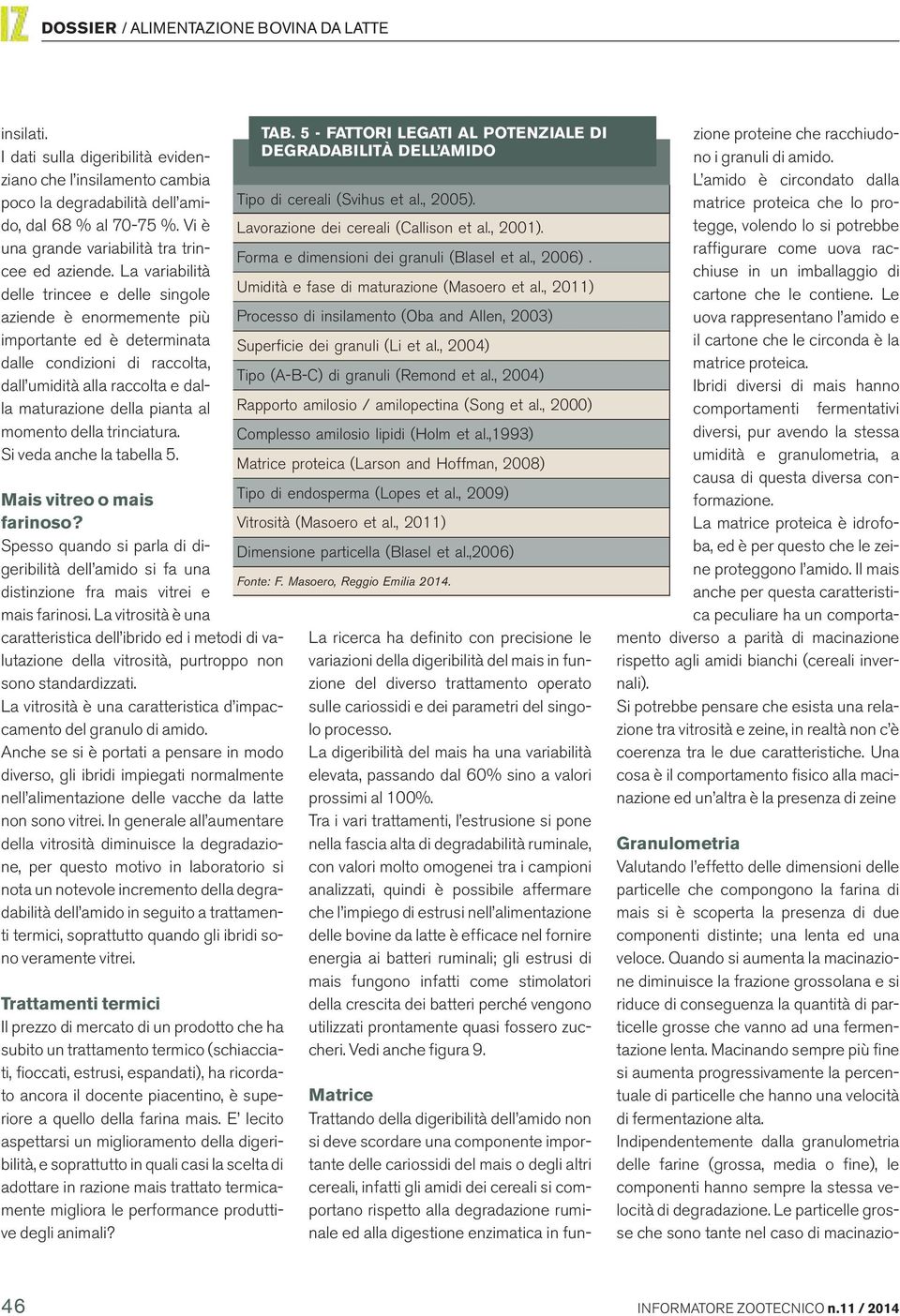 della trinciatura. Si veda anche la tabella 5. Mais vitreo o mais farinoso? Spesso quando si parla di digeribilità dell amido si fa una distinzione fra mais vitrei e mais farinosi.