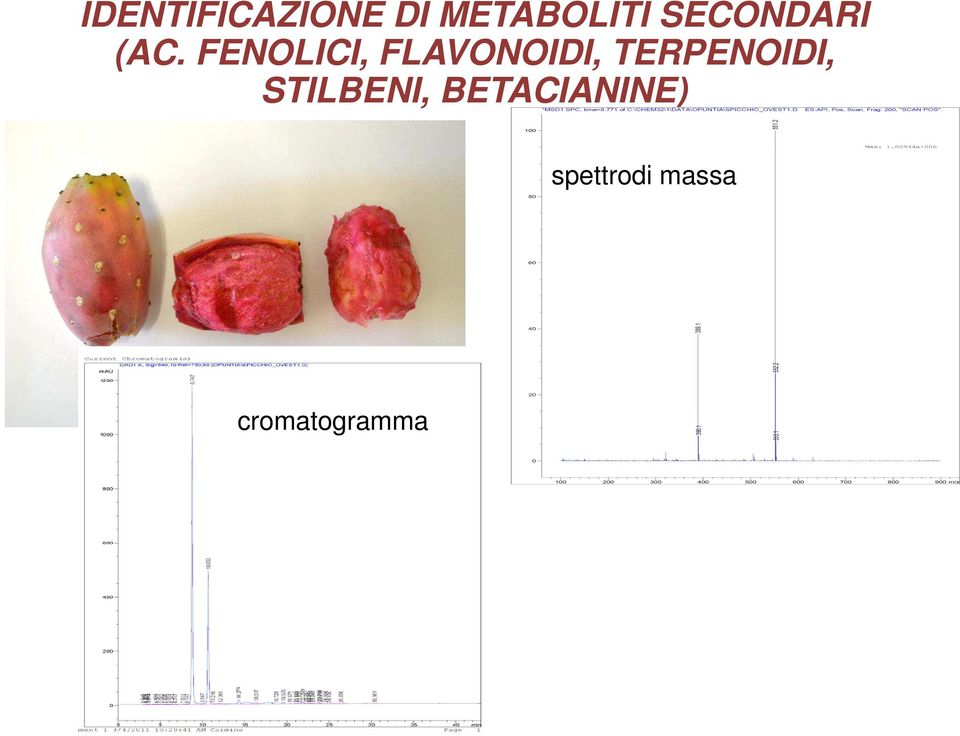 FENOLICI, FLAVONOIDI,