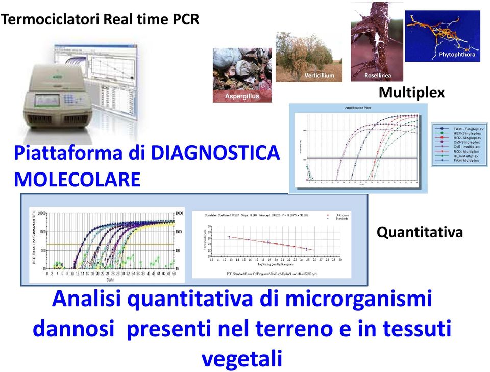 DIAGNOSTICA MOLECOLARE Quantitativa Analisi quantitativa