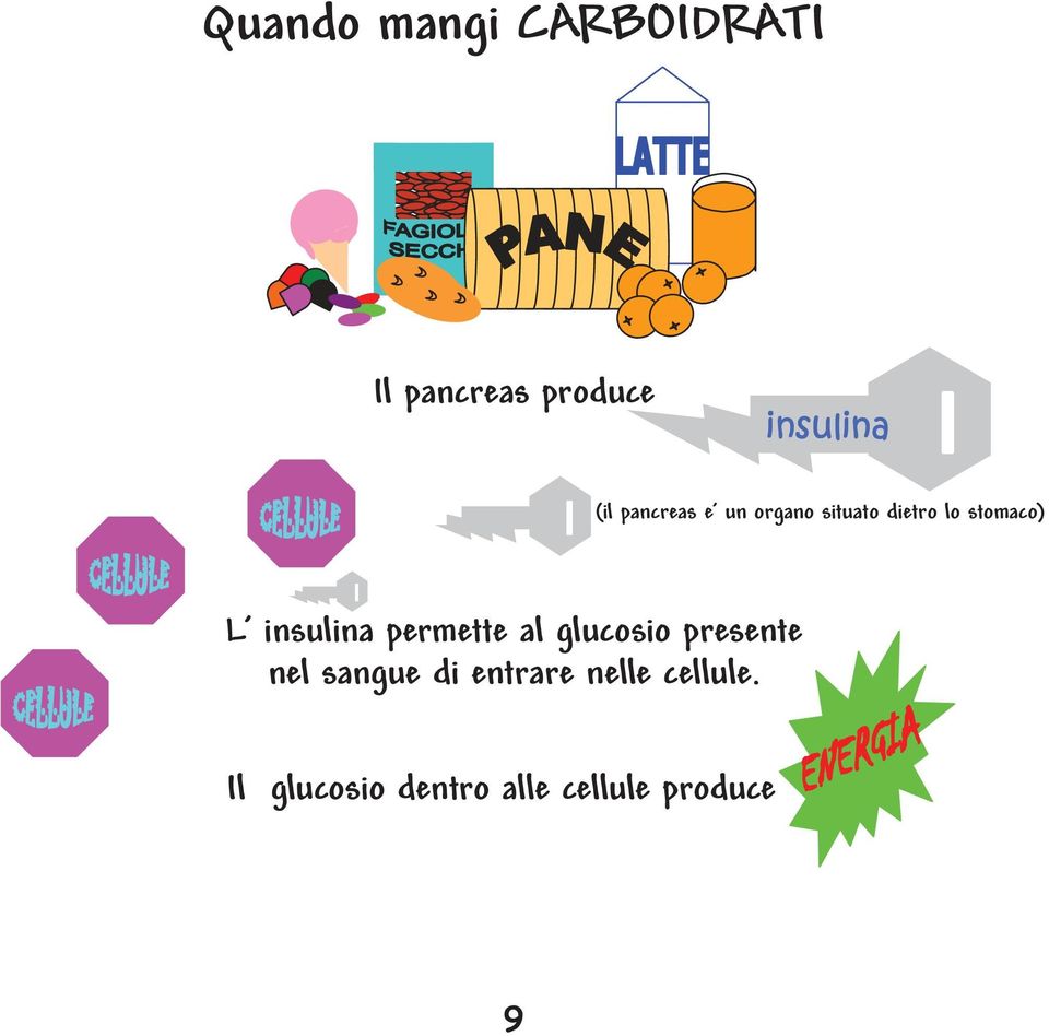 insulina permette al glucosio presente nel sangue di