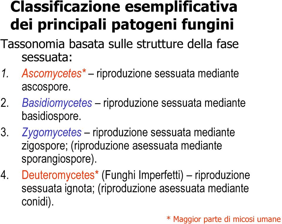 Zygomycetes riproduzione sessuata mediante zigospore; (riproduzione asessuata mediante sporangiospore). 4.