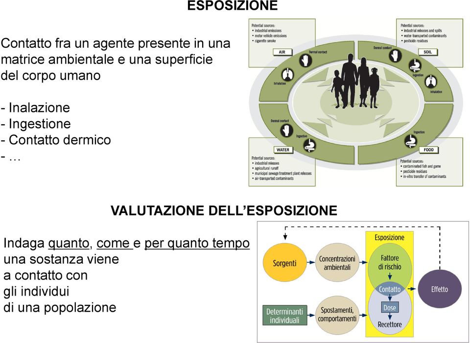 dermico - VALUTAZIONE DELL ESPOSIZIONE Indaga quanto, come e per