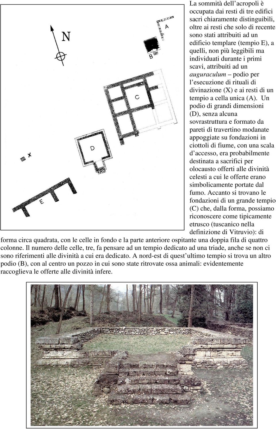 Un podio di grandi dimensioni (D), senza alcuna sovrastruttura e formato da pareti di travertino modanate appoggiate su fondazioni in ciottoli di fiume, con una scala d accesso, era probabilmente