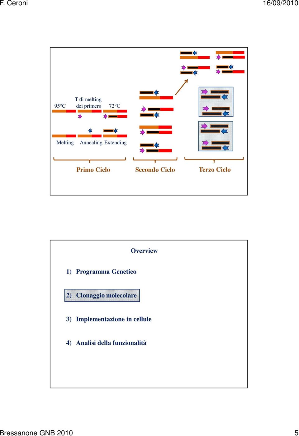 Programma Genetico 2) Clonaggio molecolare 3)