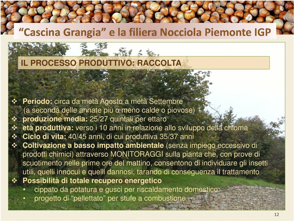 eccessivo di prodotti chimici) attraverso MONITORAGGI sulla pianta che, con prove di scuotimento nelle prime ore del mattino, consentono di individuare gli insetti utili, quelli innocui