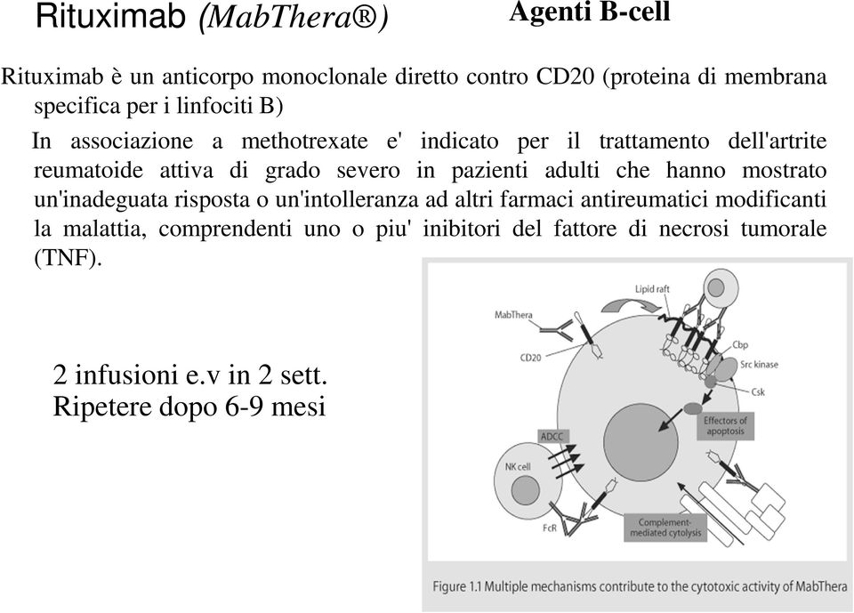 in pazienti adulti che hanno mostrato un'inadeguata risposta o un'intolleranza ad altri farmaci antireumatici modificanti la