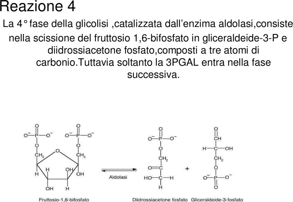 gliceraldeide-3-p e diidrossiacetone fosfato,composti a tre