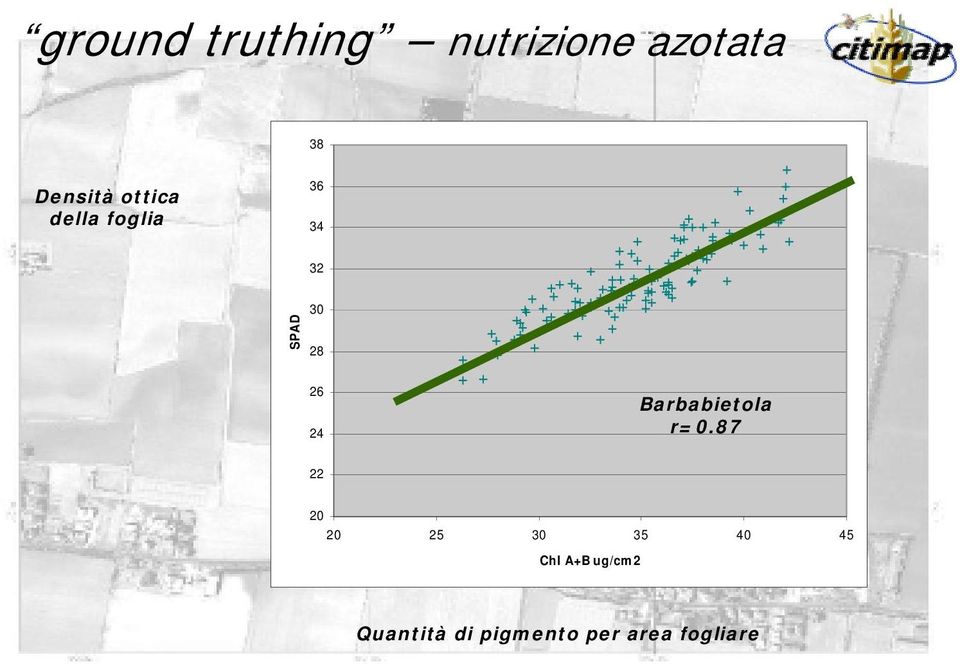 Barbabietola r=0.