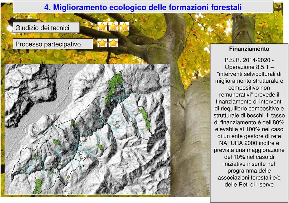 di riequilibrio compositivo e strutturale di boschi.