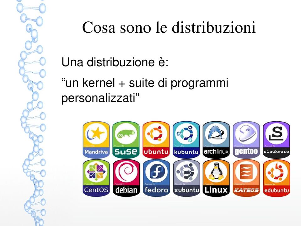 distribuzione è: un