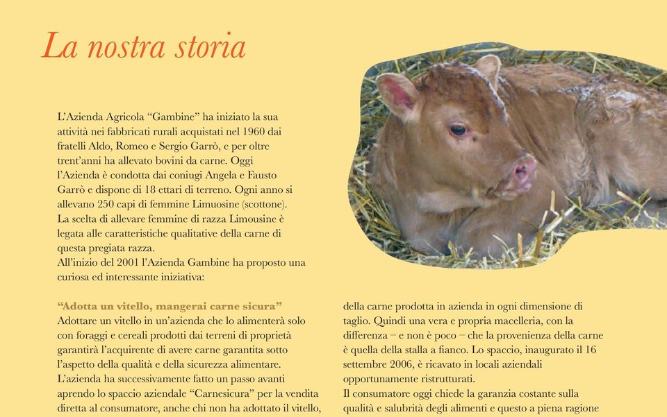 La scelta di allevare femmine di razza Limousine è legata alle caratteristiche qualitative della carne di questa pregiata razza.