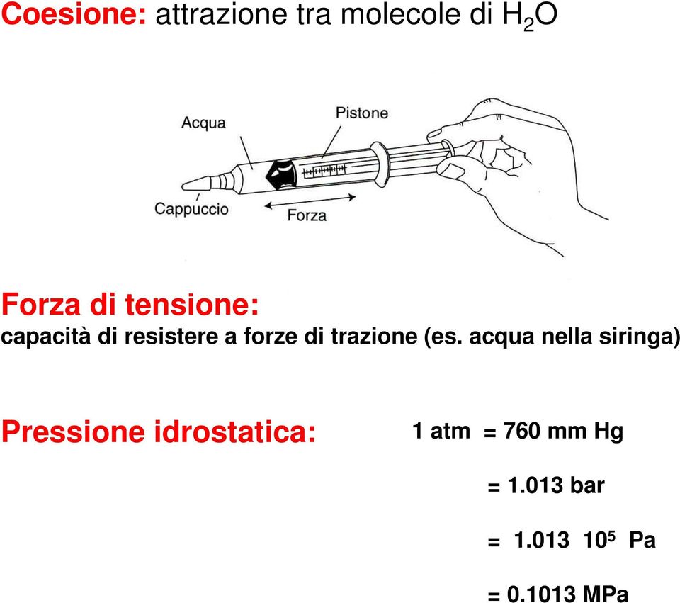 (es. acqua nella siringa) Pressione idrostatica: 1