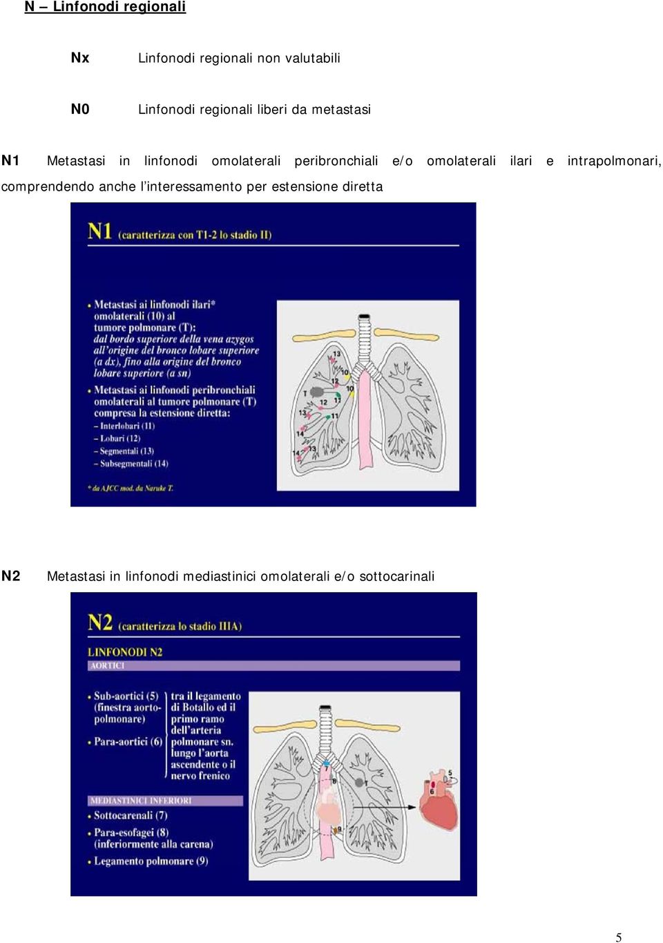 peribronchiali e/o omolaterali ilari e intrapolmonari, comprendendo anche l