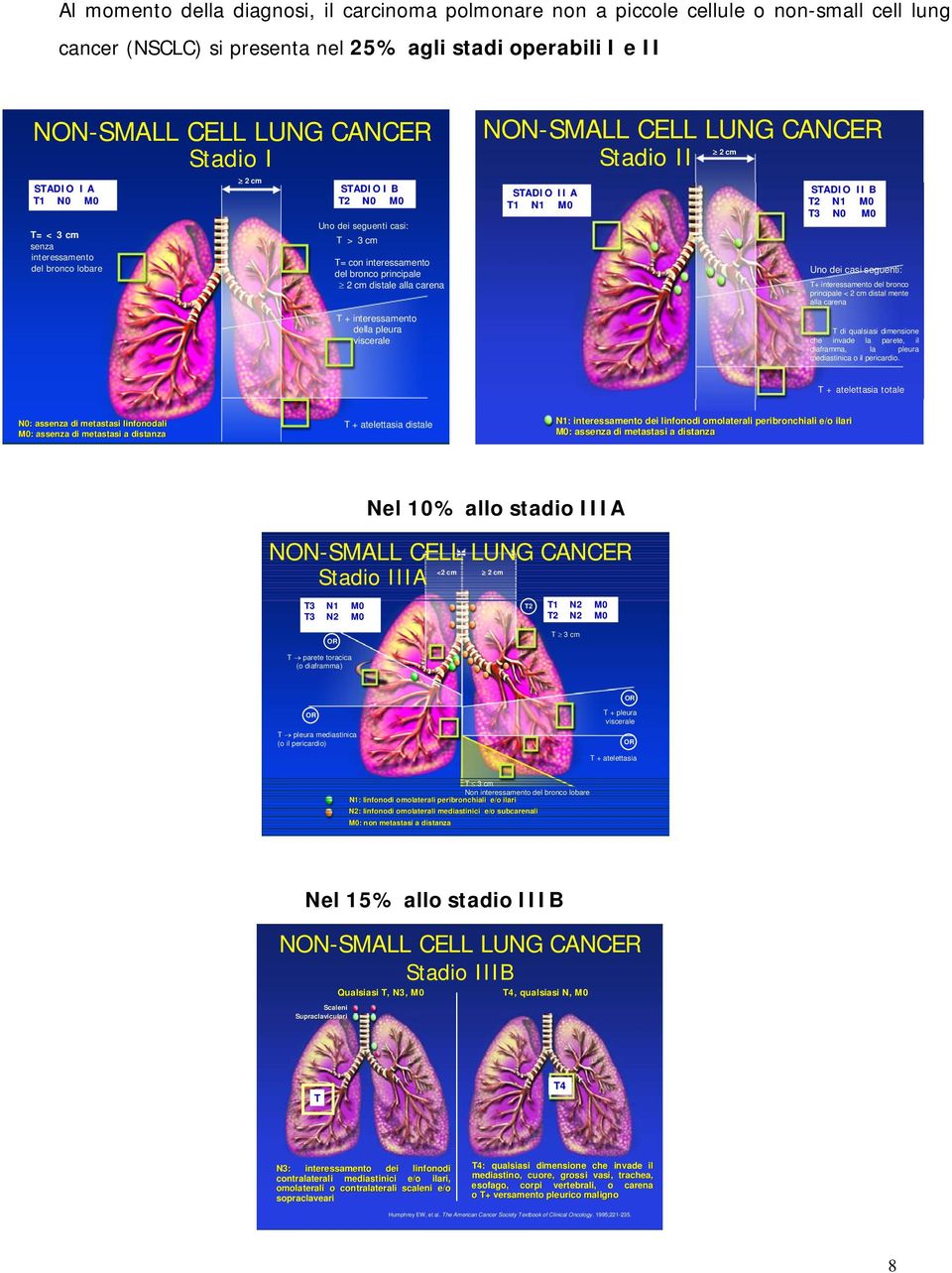 interessamento della pleura viscerale NON-SMALL CELL LUNG CANCER 2 cm Stadio II STADIO II A T1 N1 STADIO II B T2 N1 T3 N0 Uno dei casi seguenti: T+ interessamento del bronco principale < 2 cm distal