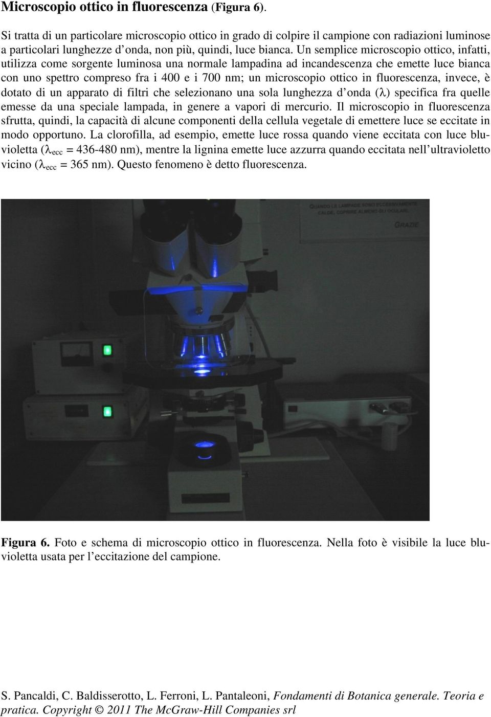 Un semplice microscopio ottico, infatti, utilizza come sorgente luminosa una normale lampadina ad incandescenza che emette luce bianca con uno spettro compreso fra i 400 e i 700 nm; un microscopio