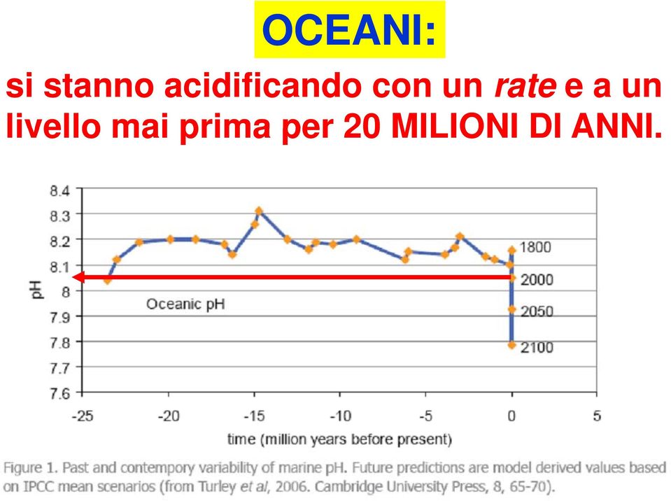 rate e a un livello