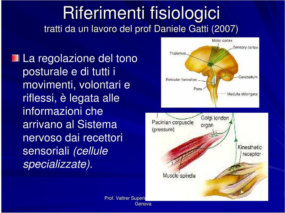 movimenti, volontari e riflessi, è legata alle informazioni che