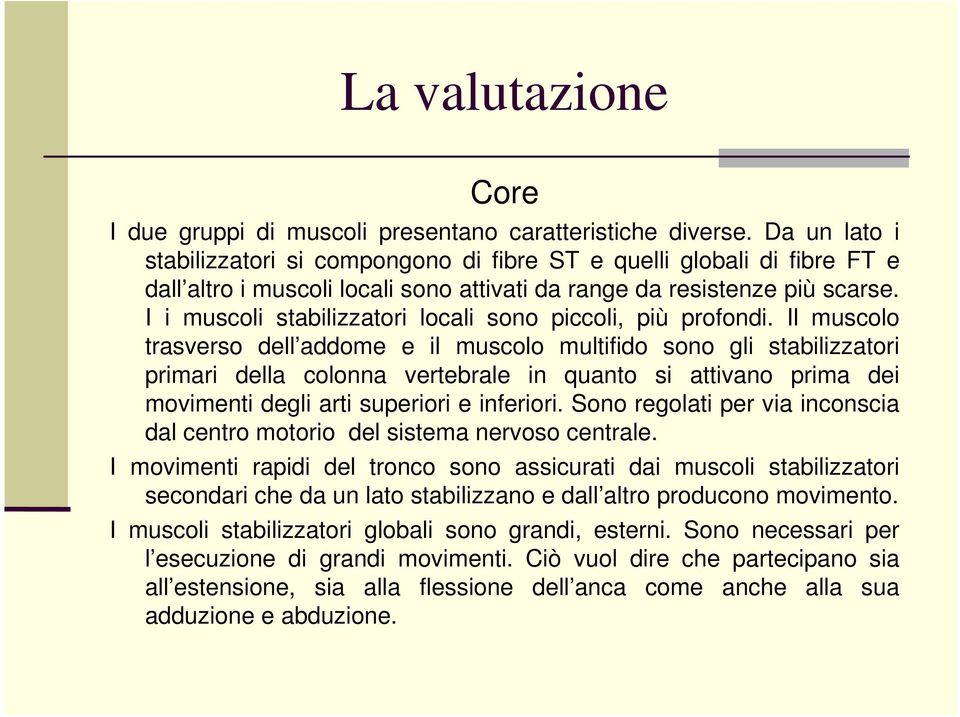 I i muscoli stabilizzatori locali sono piccoli, più profondi.