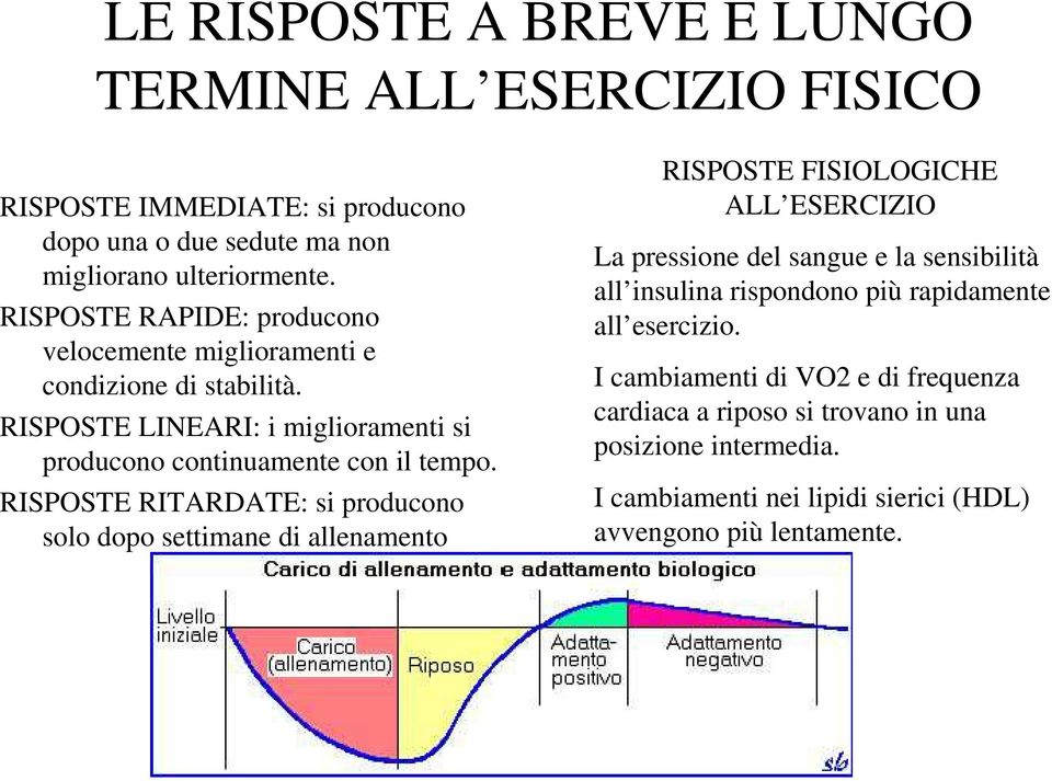 RISPOSTE RITARDATE: si producono solo dopo settimane di allenamento RISPOSTE FISIOLOGICHE ALL ESERCIZIO La pressione del sangue e la sensibilità all insulina