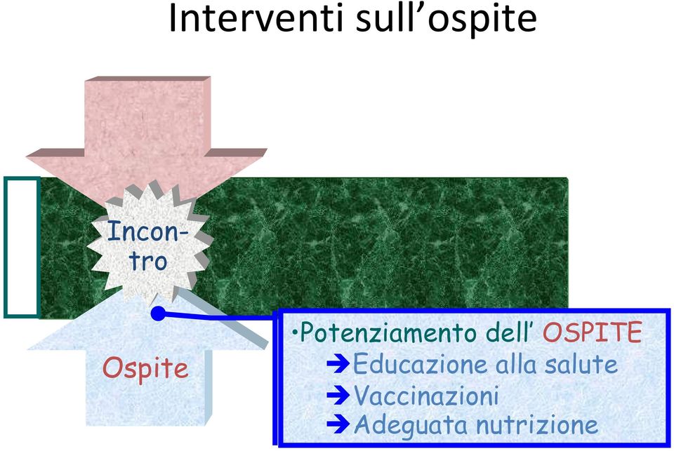 dell OSPITE Educazione alla