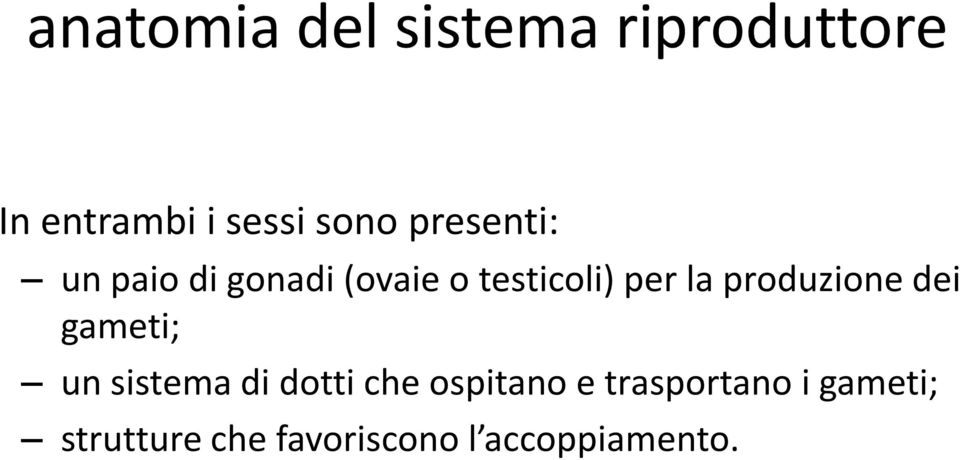 produzione dei gameti; un sistema di dotti che ospitano e