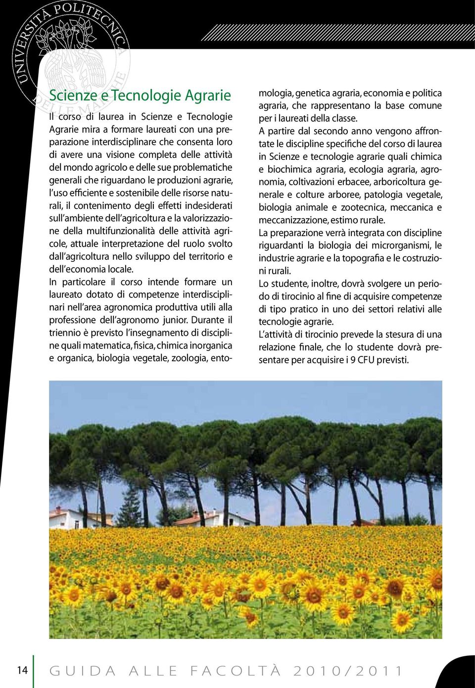 sull ambiente dell agricoltura e la valorizzazione della multifunzionalità delle attività agricole, attuale interpretazione del ruolo svolto dall agricoltura nello sviluppo del territorio e dell