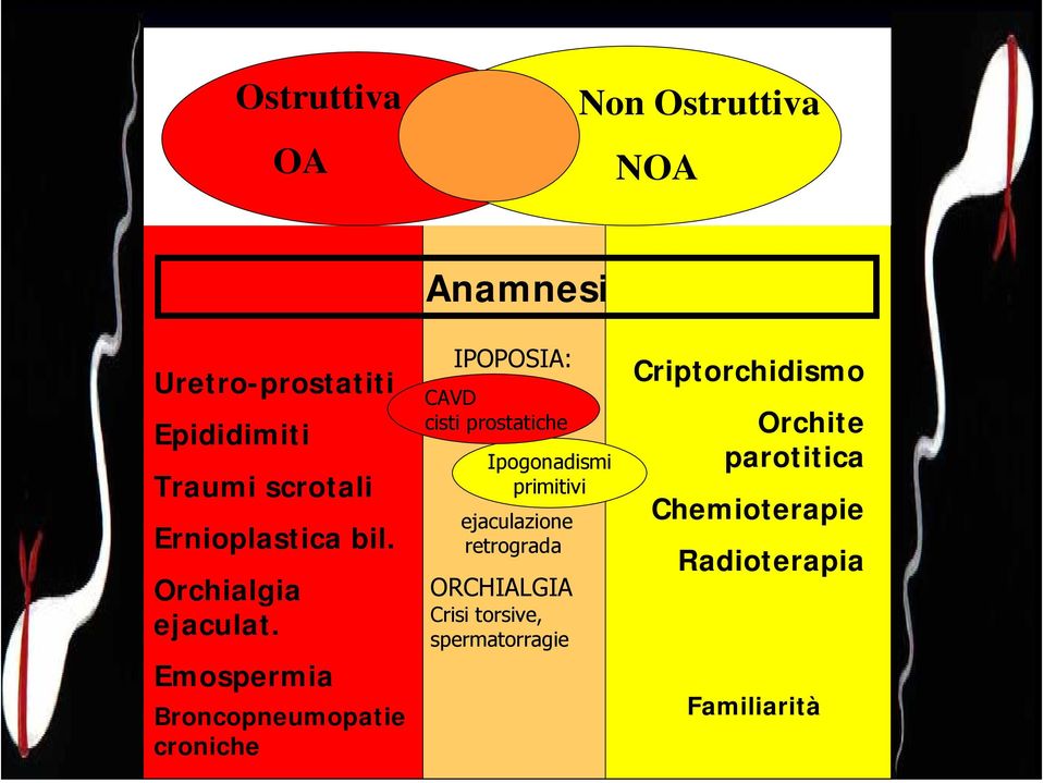 Emospermia Broncopneumopatie croniche Anamnesi IPOPOSIA: CAVD cisti prostatiche ipogonadismi