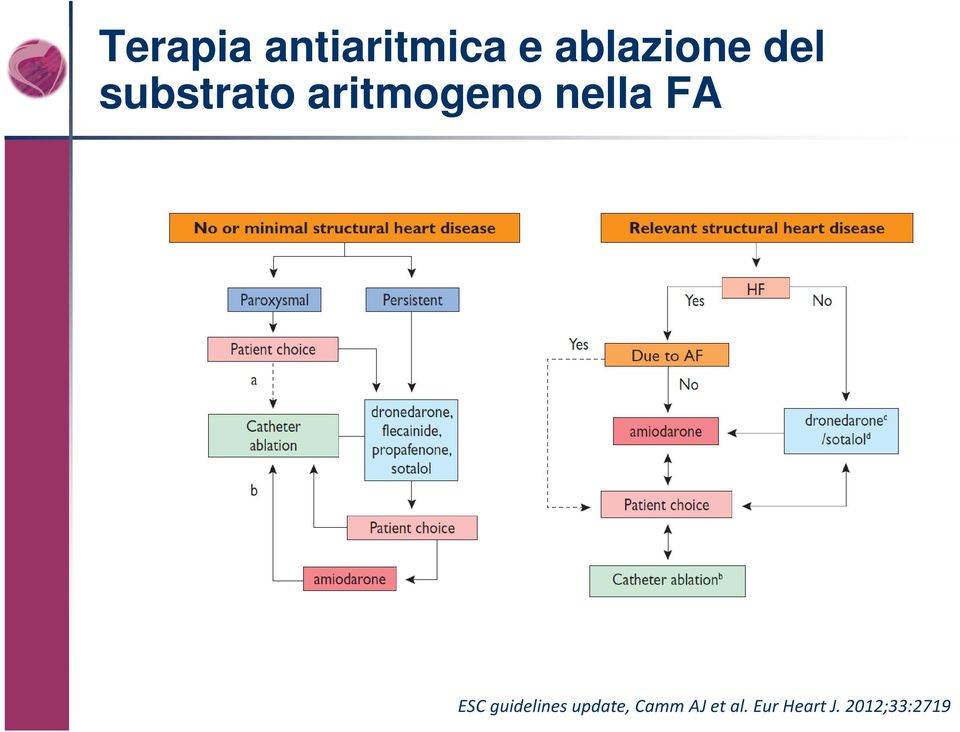 FA ESC guidelines update, Camm