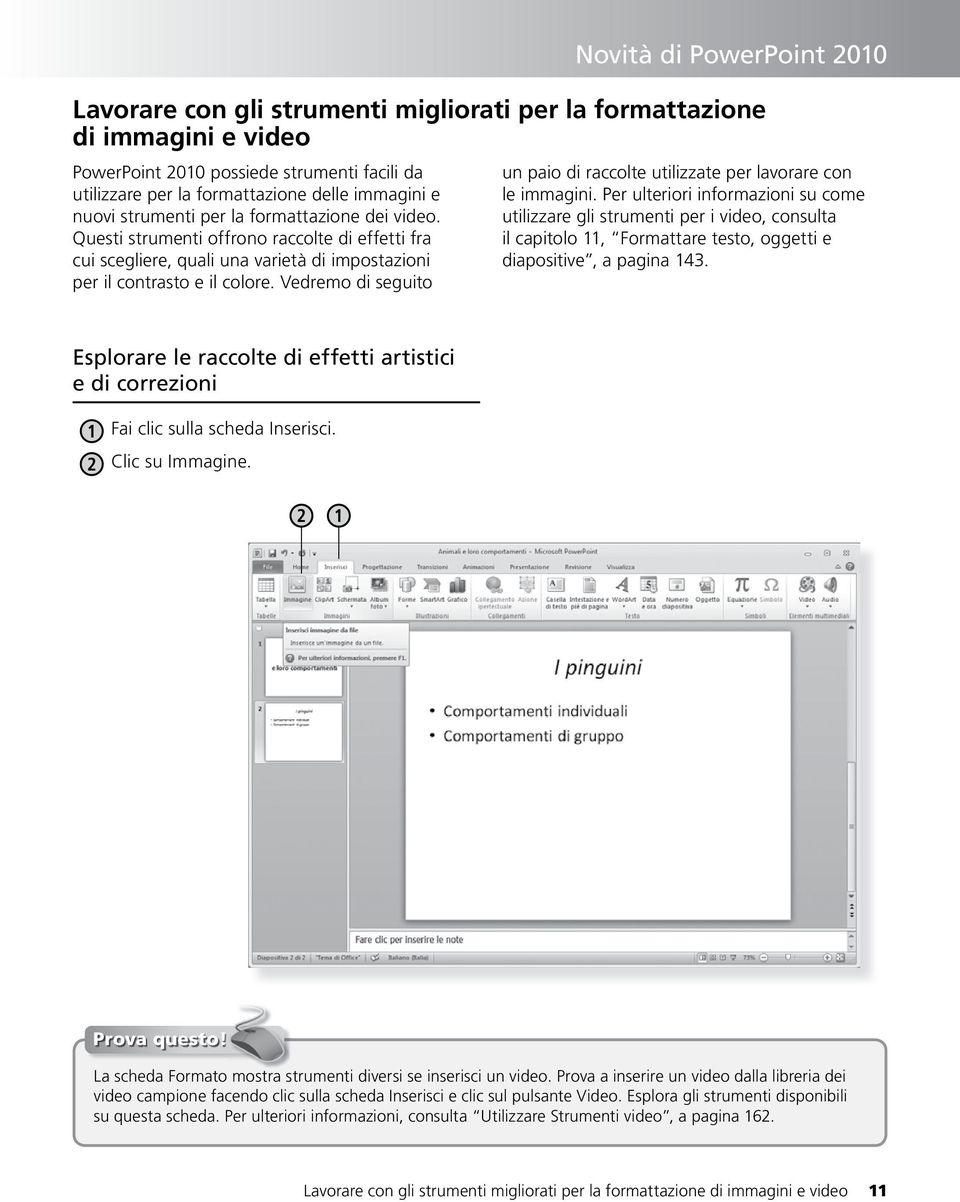 Vedremo di seguito un paio di raccolte utilizzate per lavorare con le immagini.