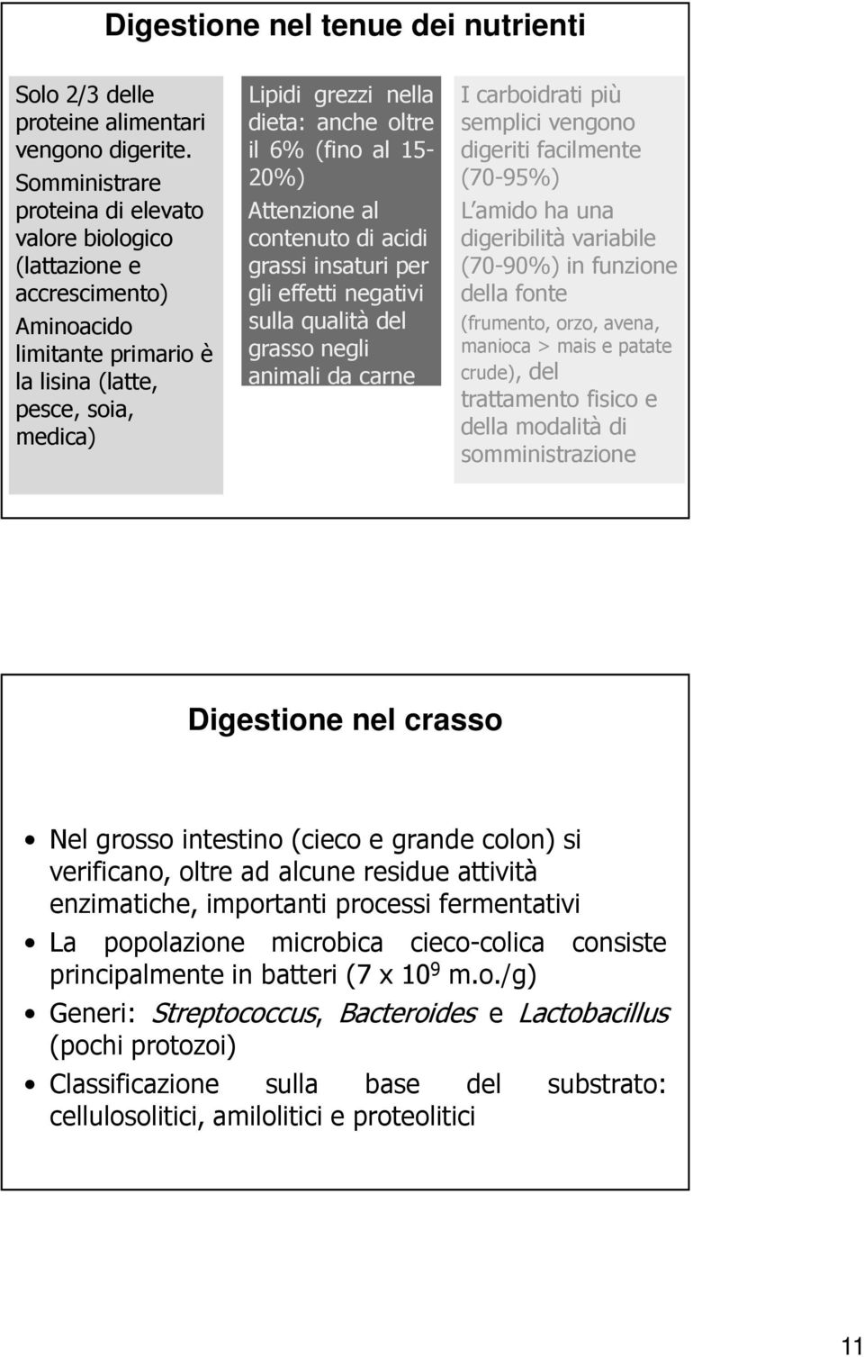 (fino al 15-20%) Attenzione al contenuto di acidi grassi insaturi per gli effetti negativi sulla qualità del grasso negli animali da carne I carboidrati più semplici vengono digeriti facilmente