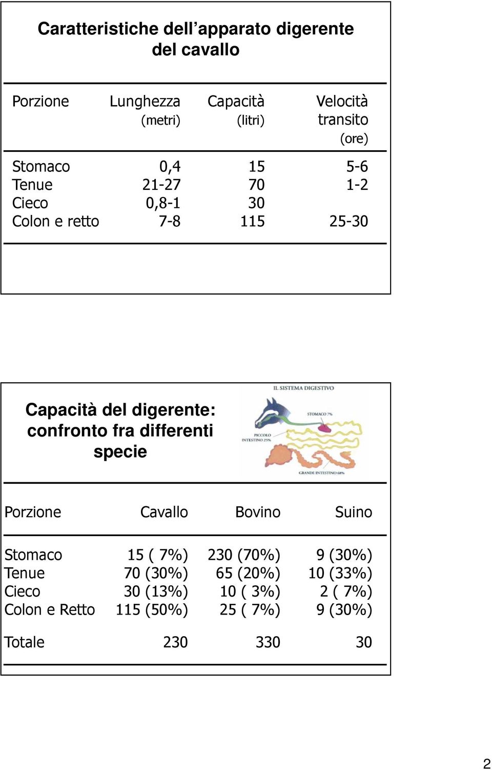 digerente: confronto fra differenti specie Porzione Cavallo Bovino Suino Stomaco 15 ( 7%) 230 (70%) 9 (30%)