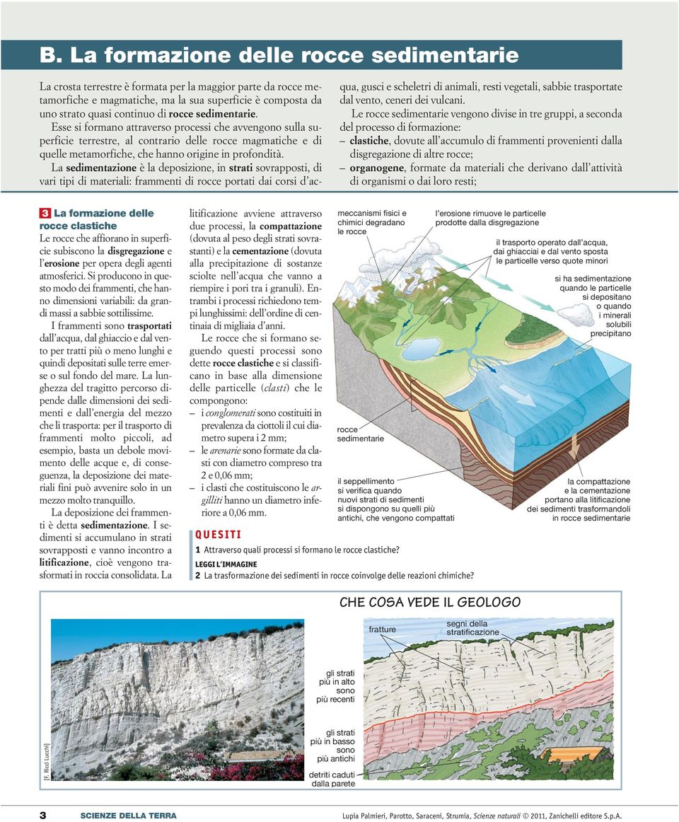 La sedimentazione è la deposizione, in strati sovrapposti, di vari tipi di materiali: frammenti di rocce portati dai corsi d acqua, gusci e scheletri di animali, resti vegetali, sabbie trasportate