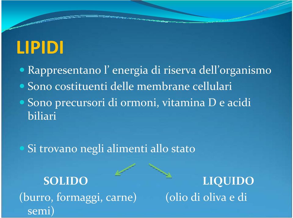 vitamina D e acidi biliari Si trovano negli alimenti allo stato