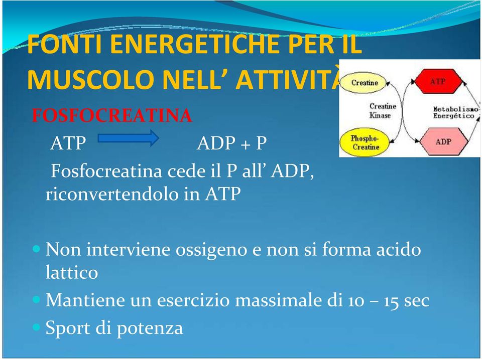 in ATP Non interviene ossigeno e non si forma acido lattico