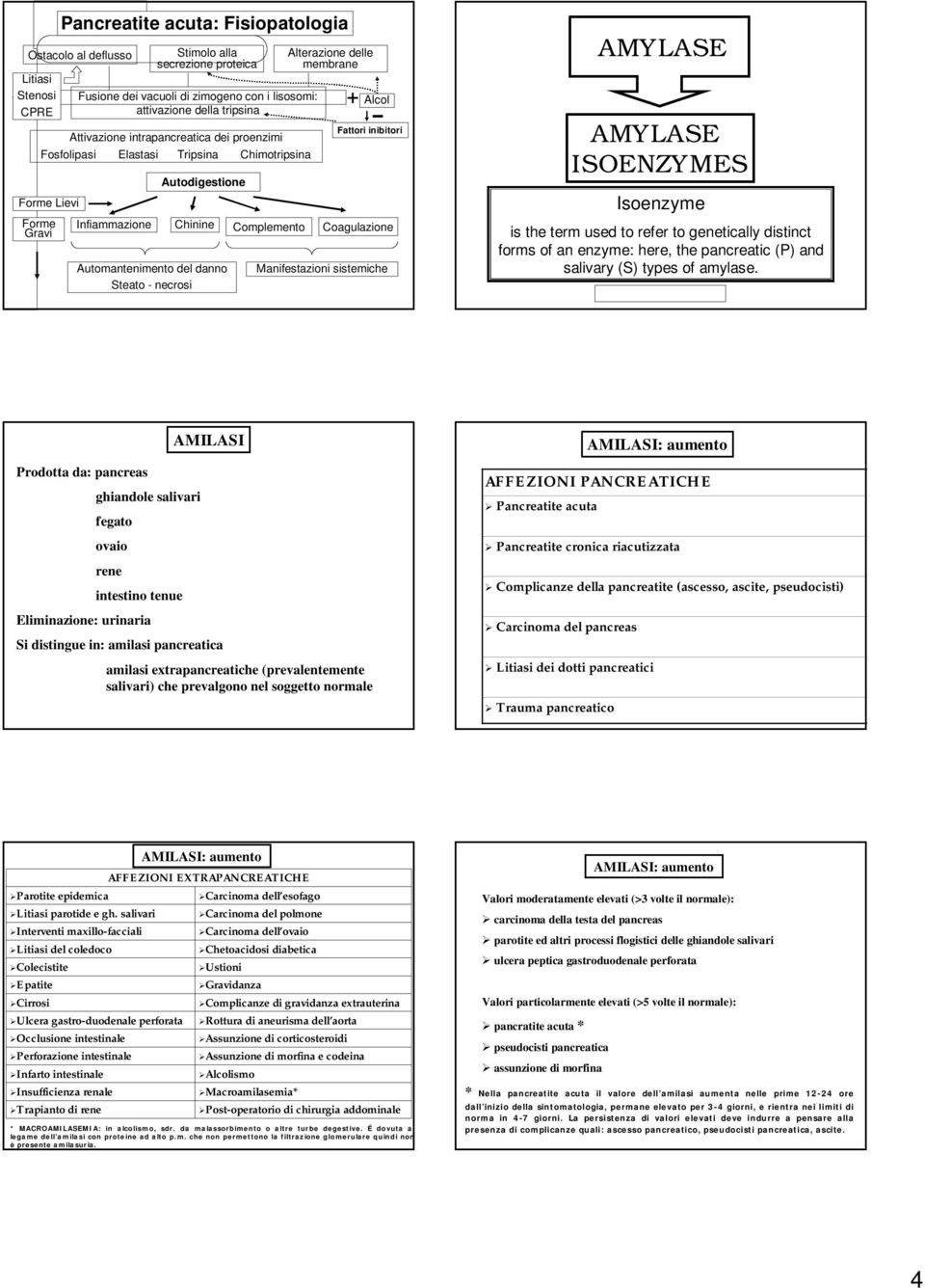 Automantenimento del danno Steato - necrosi + - Alcol Fattori inibitori Manifestazioni sistemiche AMYLASE AMYLASE ISOENZYMES Isoenzyme is the term used to refer to genetically distinct forms of an