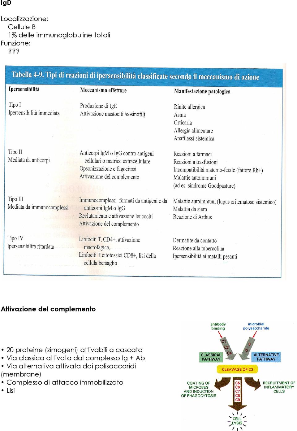 ?? Attivazione del complemento 20 proteine (zimogeni) attivabili a