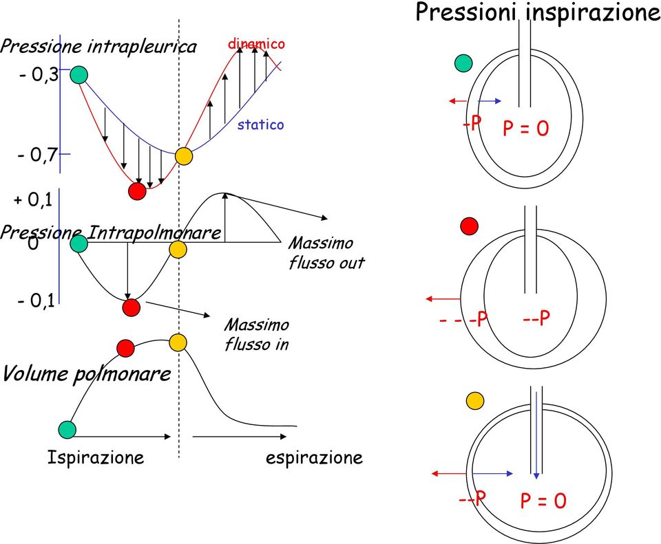 Intrapolmonare Massimo flusso out -,1 Volume