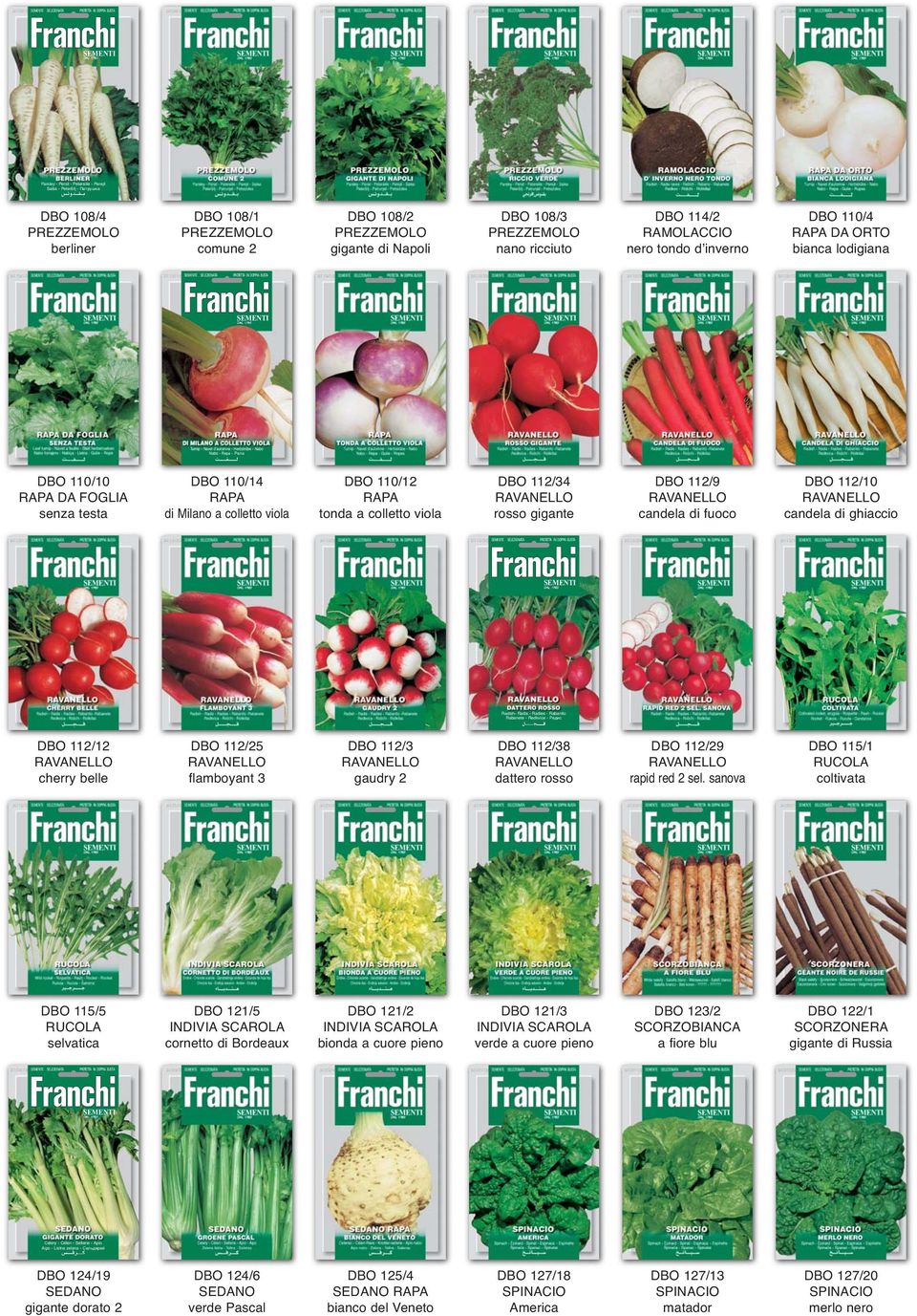 Franchi-Organic Vegetable-BIOB 42/33 Onion-TONDA MUSONA-SEEDS